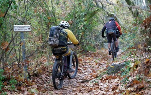 Randonnée des Vendanges (tardives) les Imberts 2025