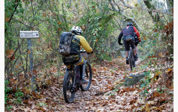Randonnée des Vendanges (tardives) les Imberts 2025